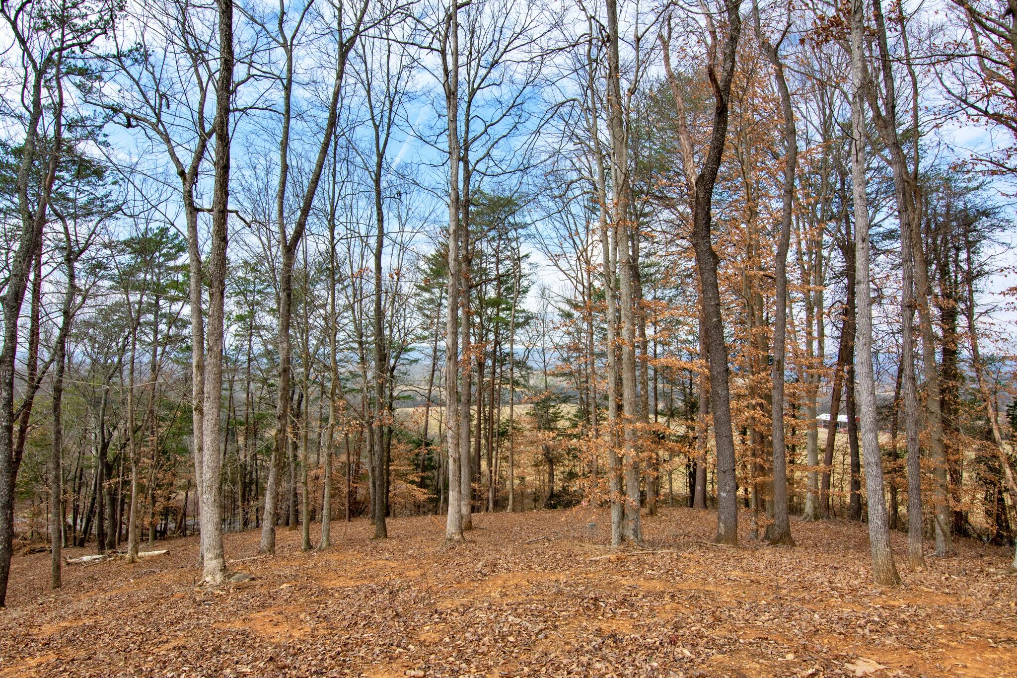 2604 Lower East Valley Road Dunlap, TN 37327 - Photo 41 of 48 2604 Lower East Valley-5