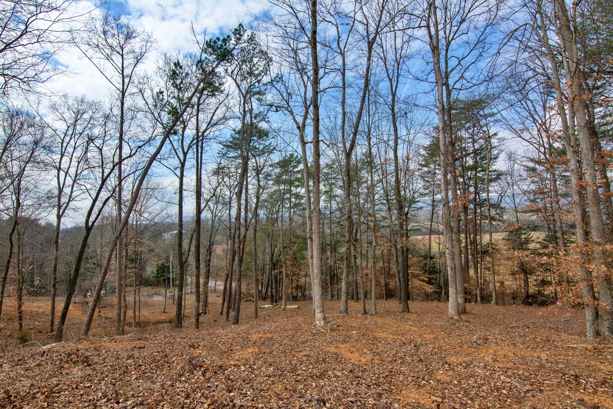 2604 Lower East Valley Road Dunlap, TN 37327 - Photo 42 of 48 2604 Lower East Valley-6