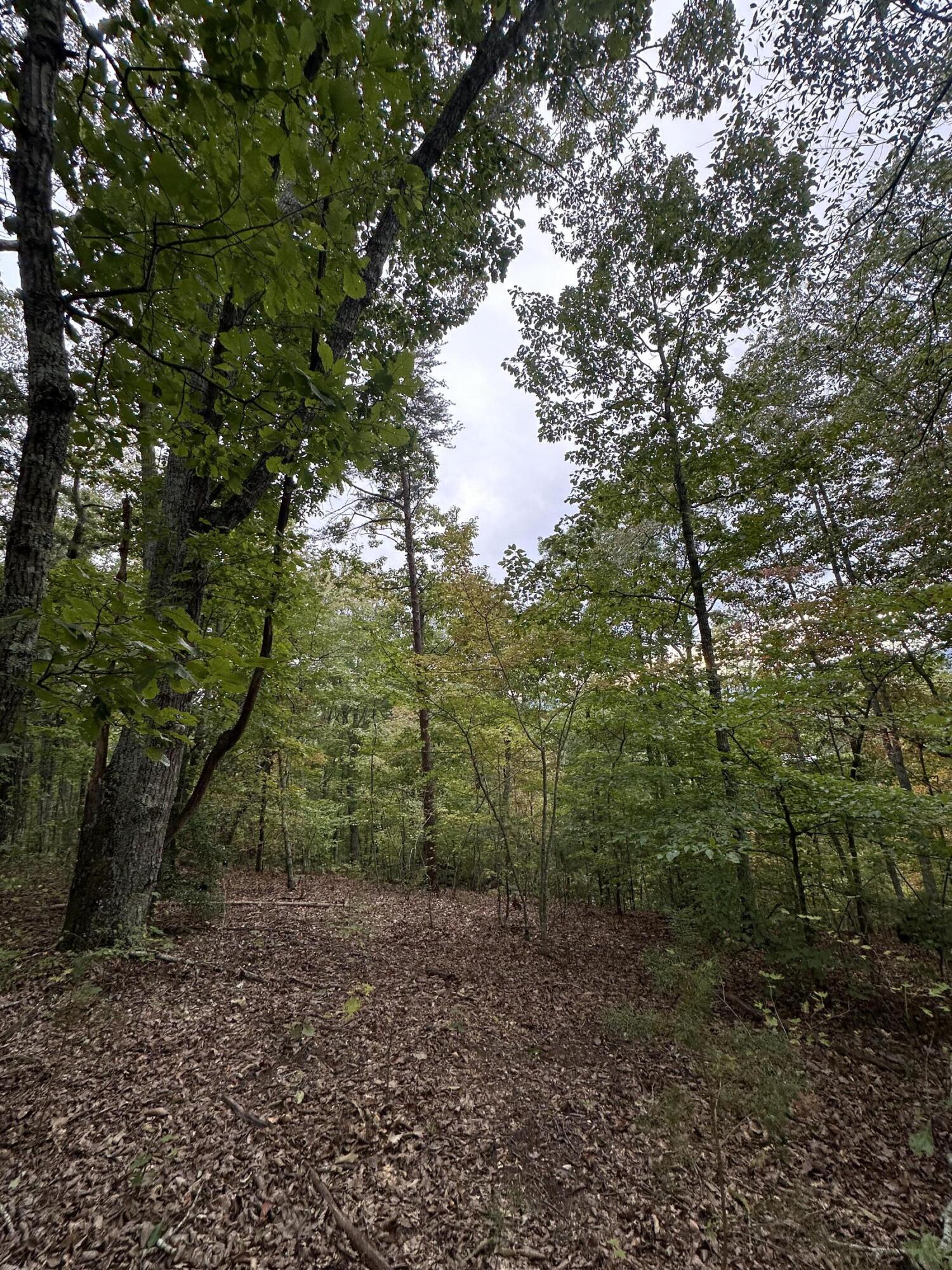 2604 Lower East Valley Road Dunlap, TN 37327 - Photo 44 of 48 IMG_3587