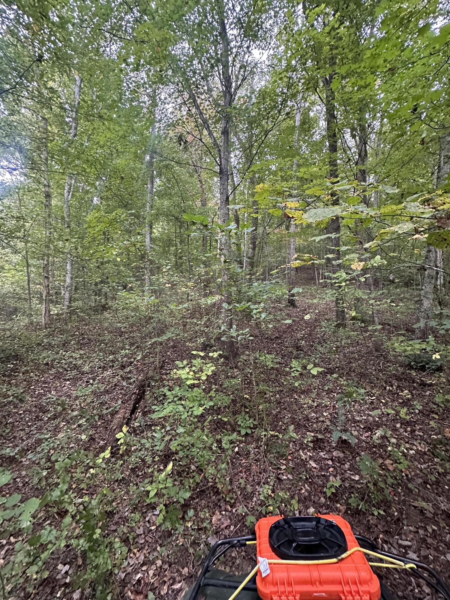 2604 Lower East Valley Road Dunlap, TN 37327 - Photo 47 of 48 IMG_3592