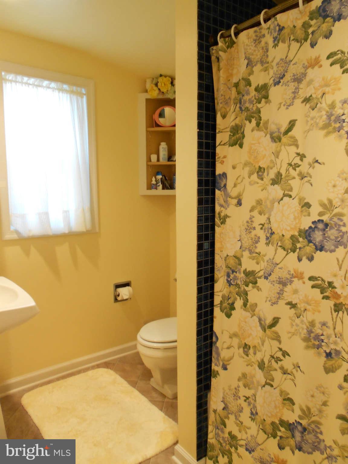 5547 Quaker Neck Landing Road Chestertown, MD 21620 - Photo 14 of 28 Bath