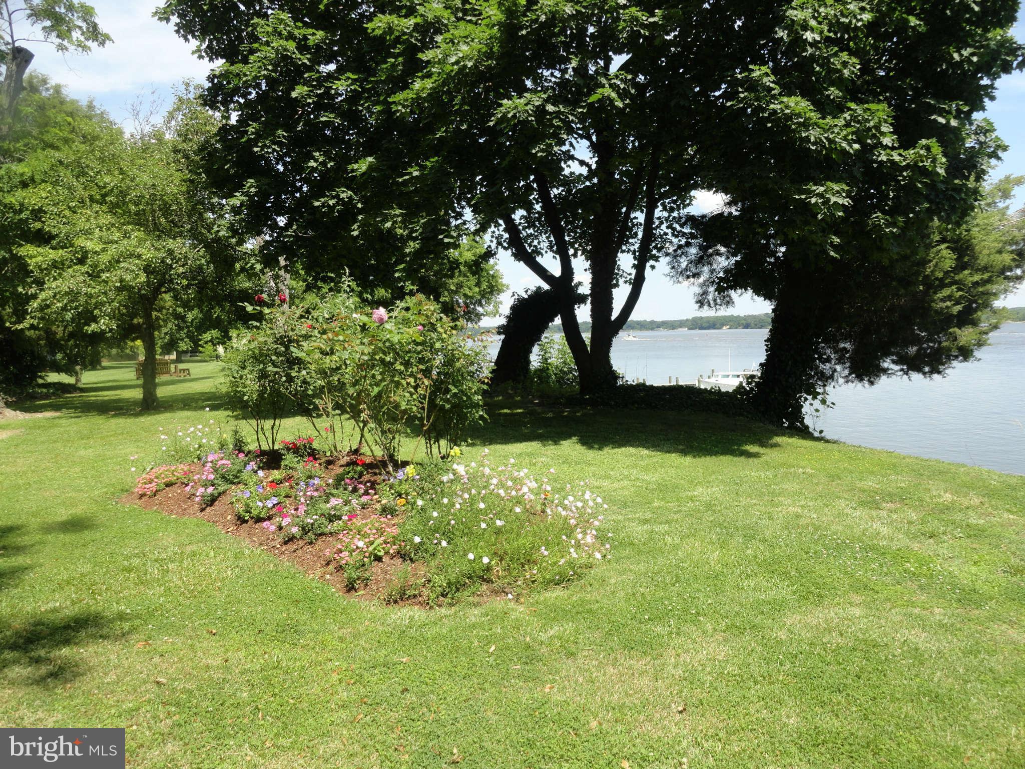 5547 Quaker Neck Landing Road Chestertown, MD 21620 - Photo 19 of 28 Chester River