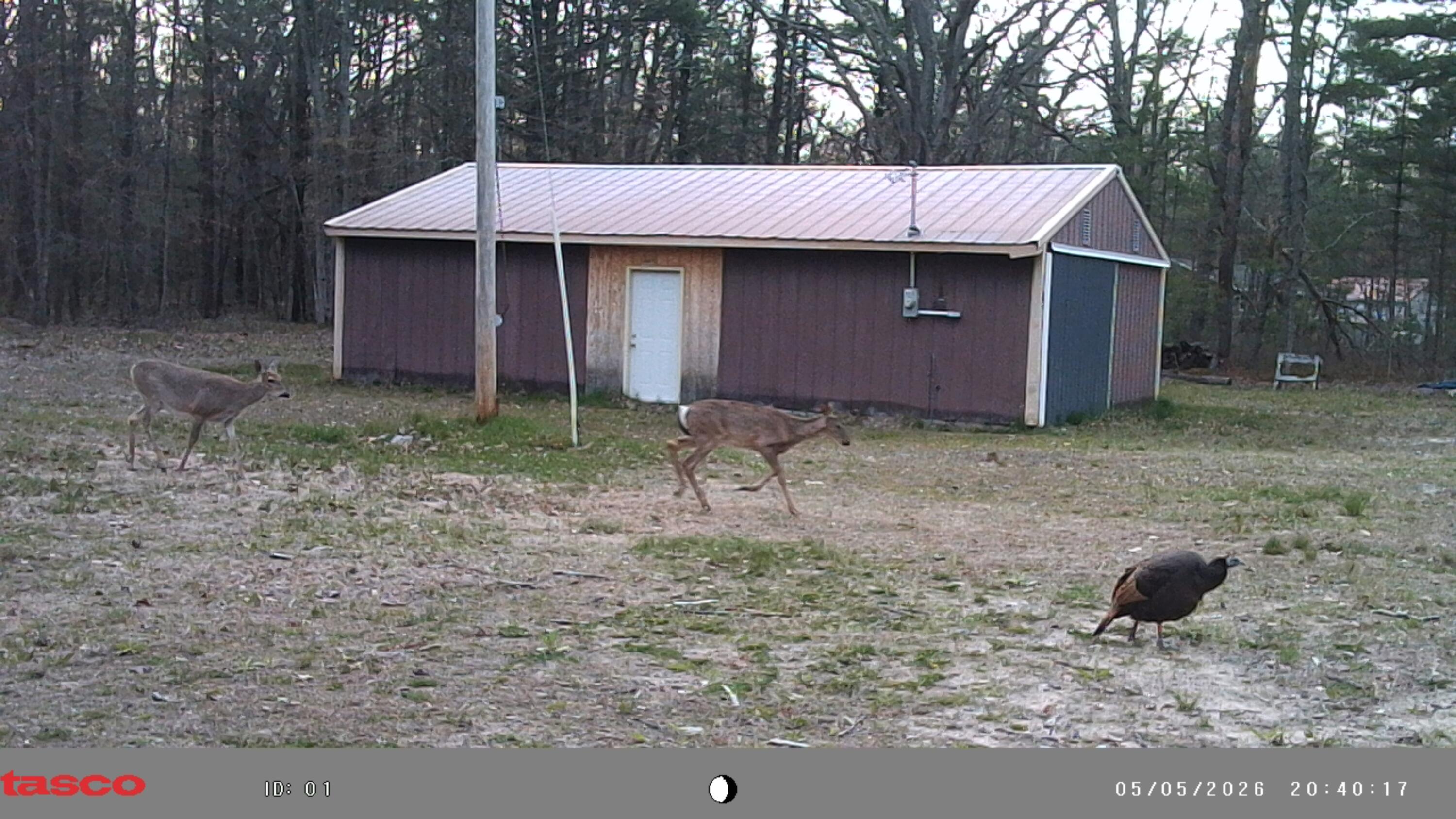 3920 Simonelli Road Whitehall, MI 49461 - Photo 32 of 33 IMAG1896