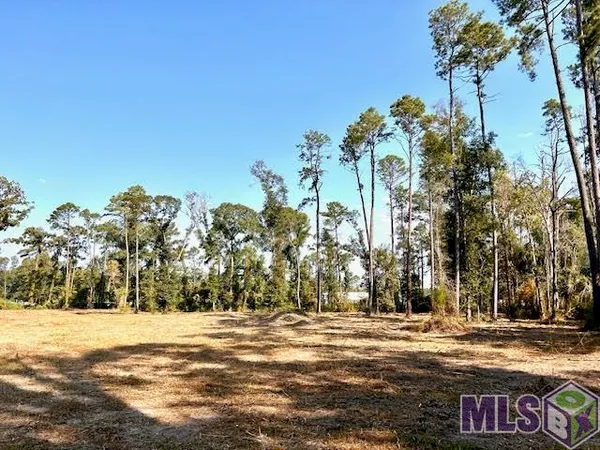 $199,000 | Tbd Catholic Hall Road, Hammond, LA 70403