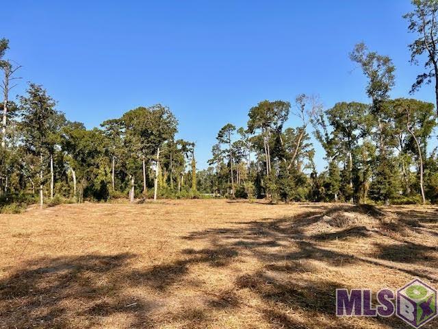 Tbd Catholic Hall Road Hammond, LA 70403 - Photo 2 of 7