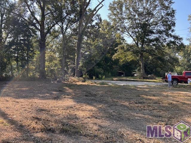 Tbd Catholic Hall Road Hammond, LA 70403 - Photo 4 of 7