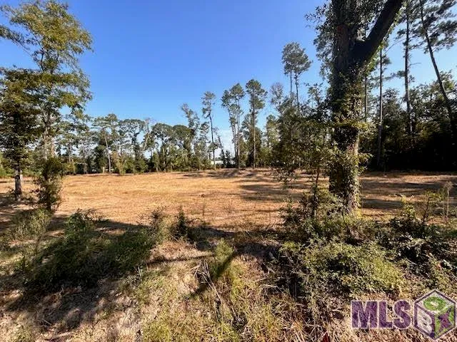 $199,000 | Tbd Catholic Hall Road, Hammond, LA 70403