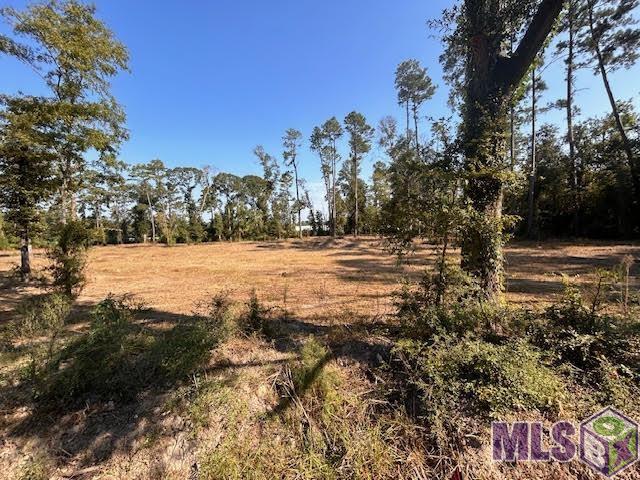 Tbd Catholic Hall Road Hammond, LA 70403 - Photo 5 of 7