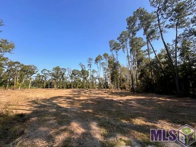 $199,000 | Tbd Catholic Hall Road, Hammond, LA 70403