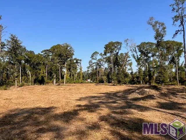 $199,000 | Tbd Catholic Hall Road, Hammond, LA 70403