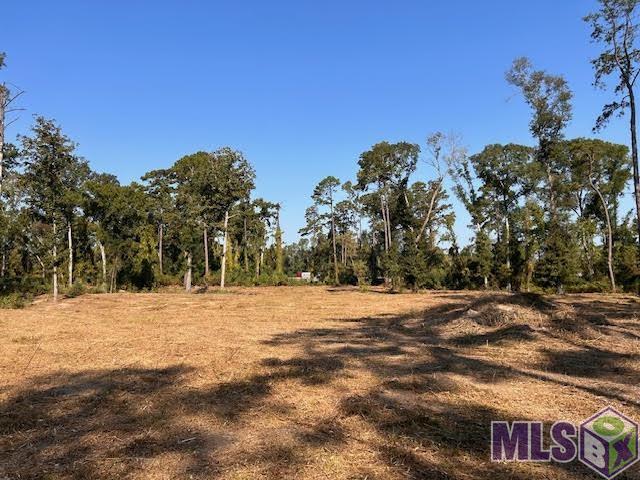 Tbd Catholic Hall Road Hammond, LA 70403 - Photo 7 of 7