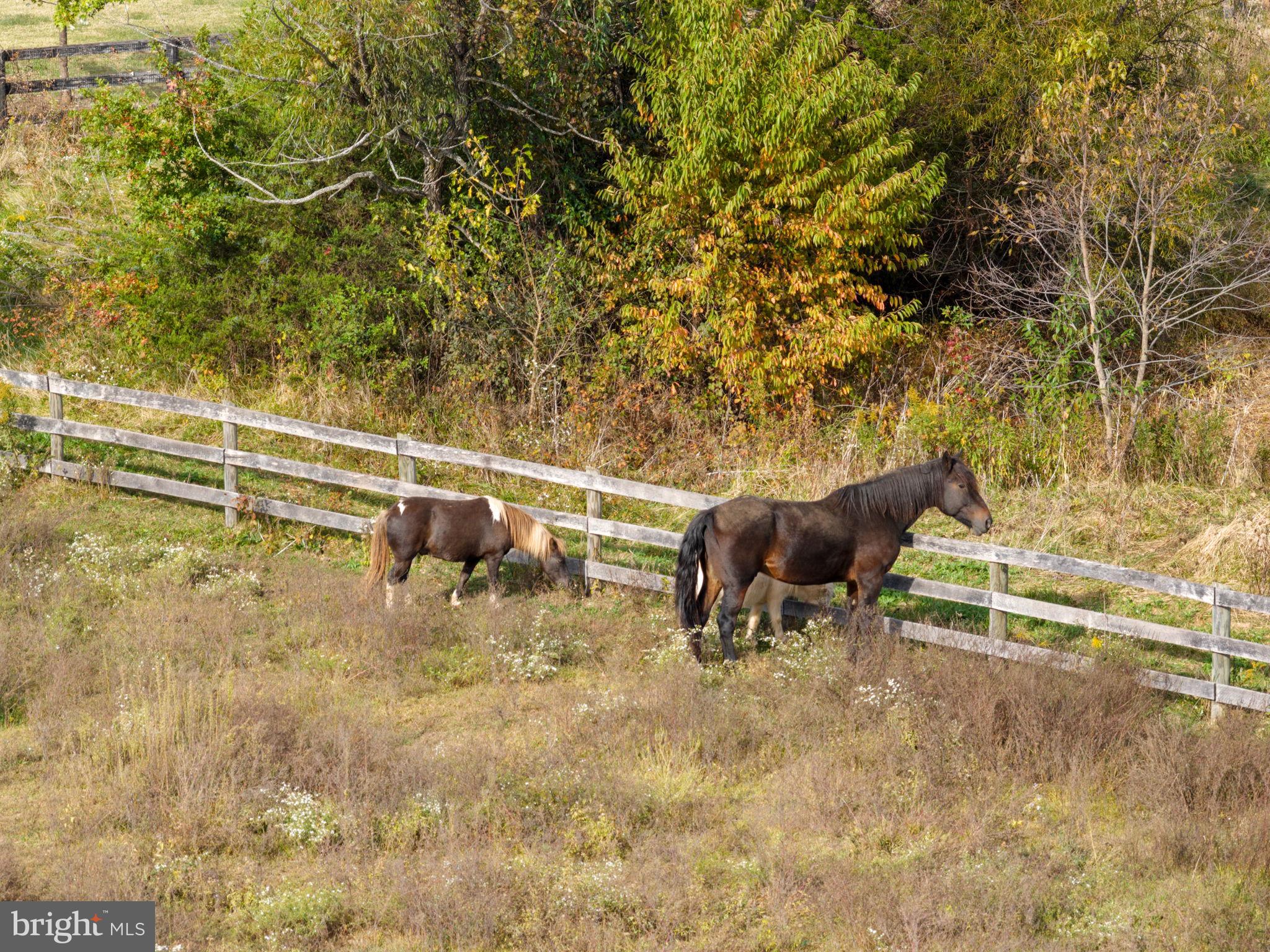 19937 Evergreen Mills Road Leesburg, VA 20175 - Photo 110 of 119