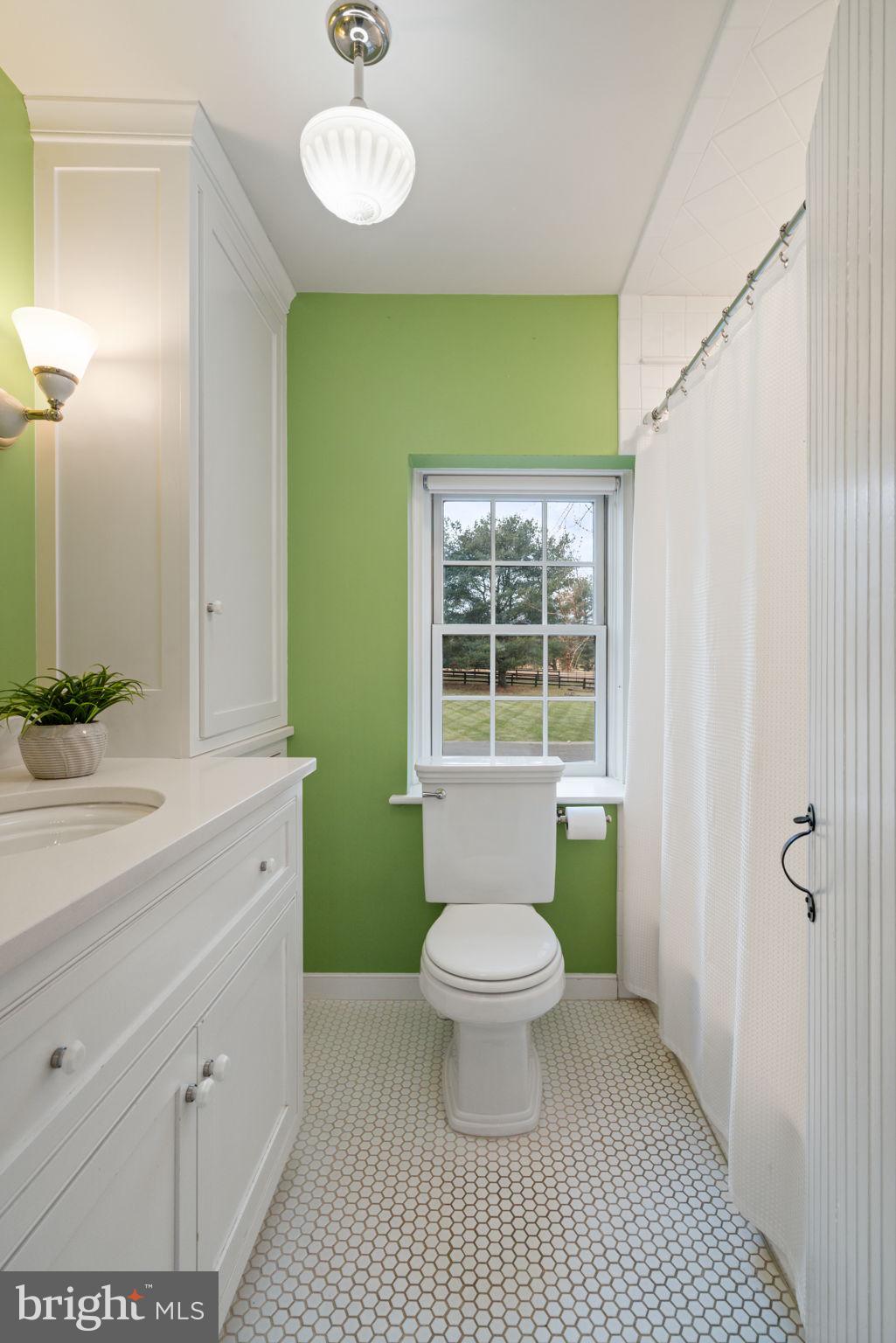 19937 Evergreen Mills Road Leesburg, VA 20175 - Photo 51 of 119 2nd bathroom