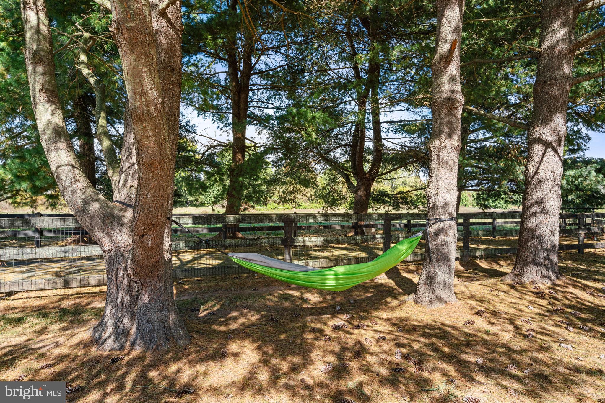 19937 Evergreen Mills Road Leesburg, VA 20175 - Photo 73 of 119