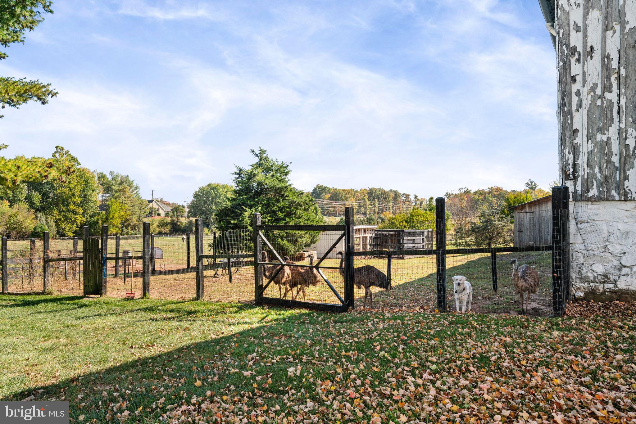 19937 Evergreen Mills Road Leesburg, VA 20175 - Photo 79 of 119