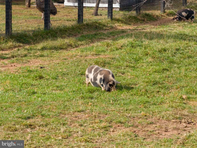 $2,750,000 | 19937 Evergreen Mills Road, Leesburg, VA 20175