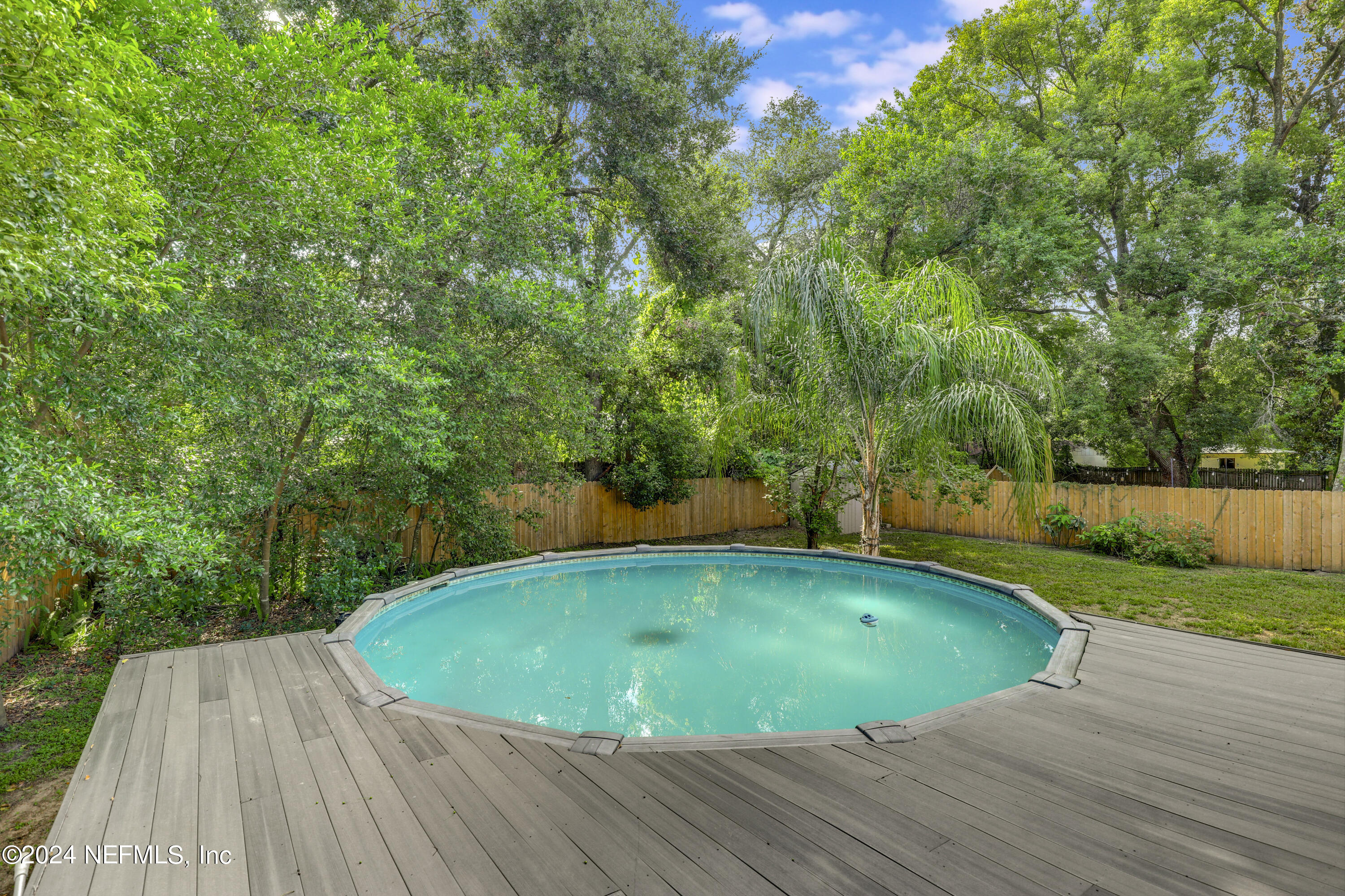 2401 Caladium Road Jacksonville, FL 32211 - Photo 6 of 40 05 Pool