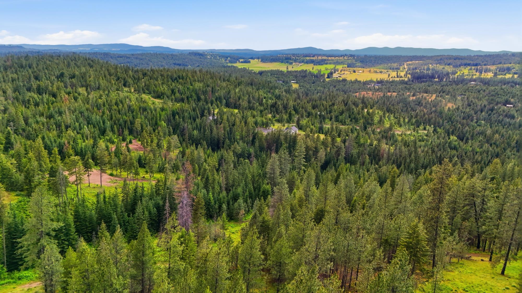 11532 East Antler Road Chattaroy, WA 99003 - Photo 35 of 50