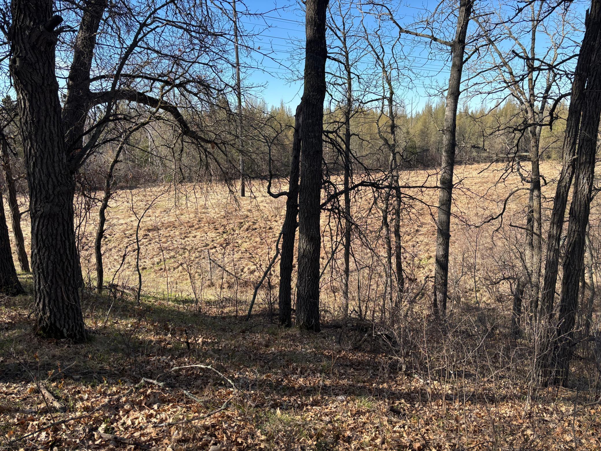 Tbd Arbor Road Park Rapids, MN 56470 - Photo 20 of 29