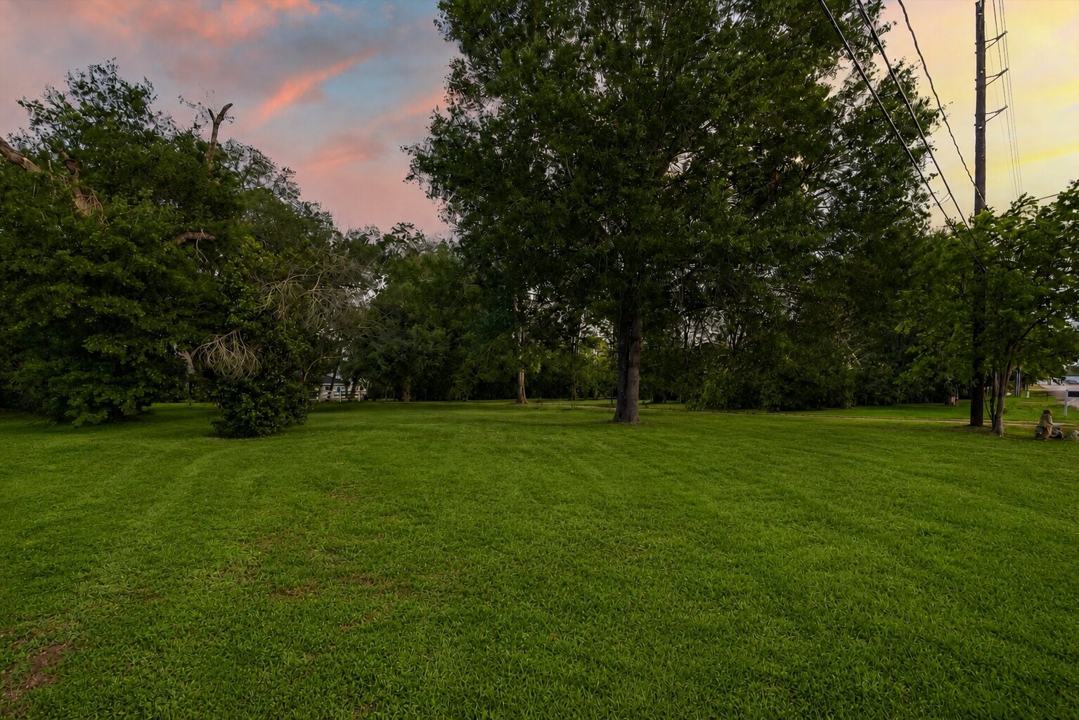 8407 Wilson Street Fulshear, TX 77441 - Photo 9 of 16 The expansive green space offers endless flexibility, making it ideal for future residential living, commercial development, or a combination of both.