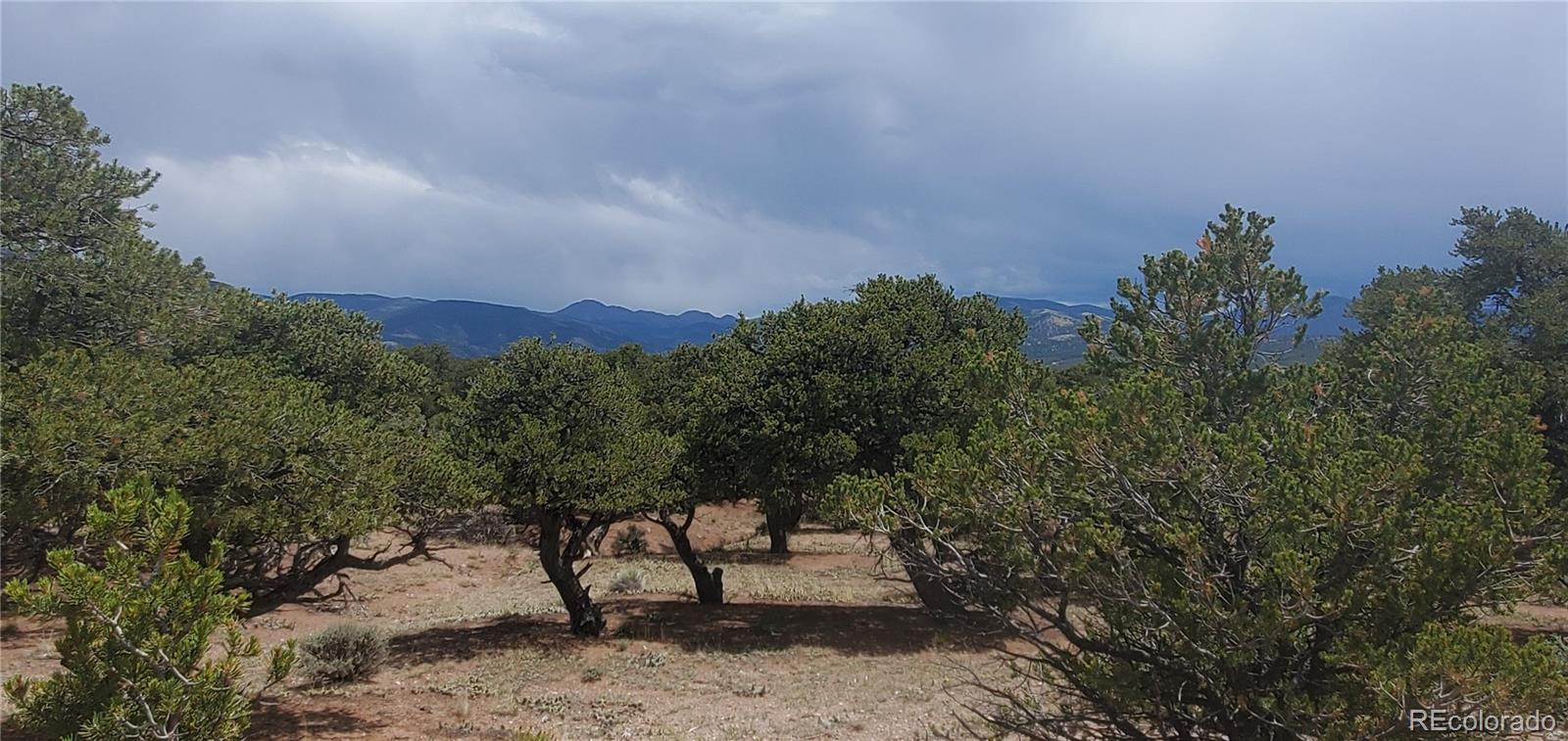 Lot3696 Branch Road Fort Garland, CO 81133 - Photo 16 of 20 Gallery Image 16