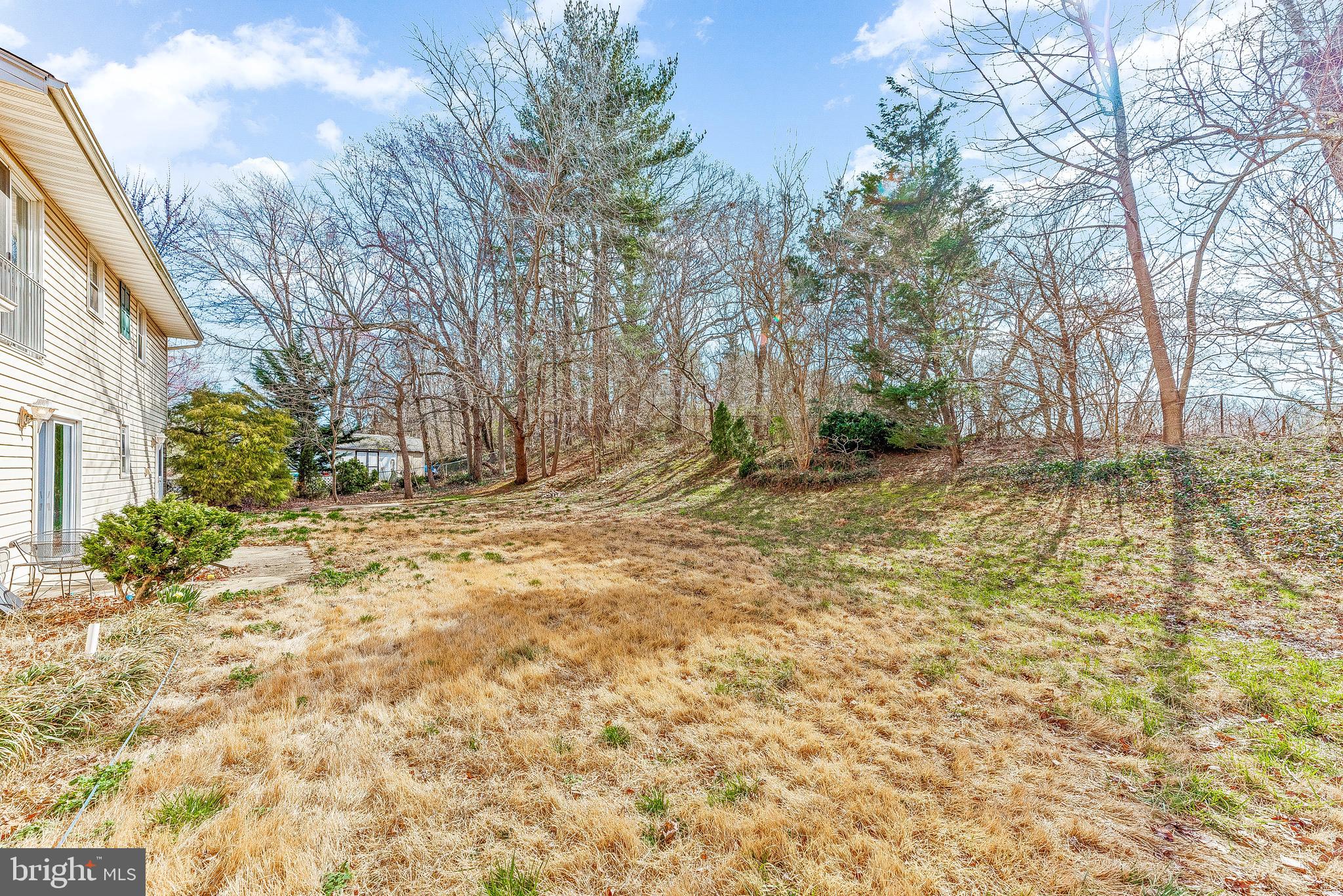 11951 Prince Court Dunkirk, MD 20754 - Photo 72 of 72 a view of a yard with a tree