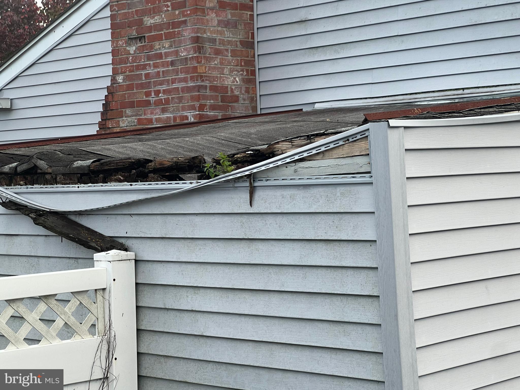 2561 Burning Tree Road Pennsauken, NJ 08109 - Photo 56 of 59 attached shed- need repairs