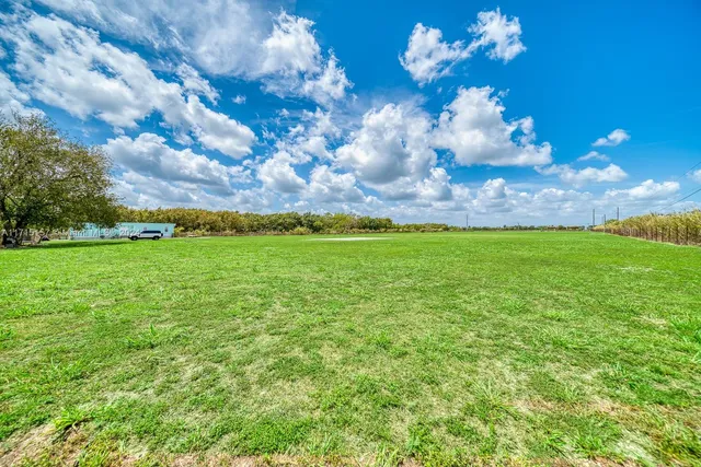 a view of a big yard with large trees