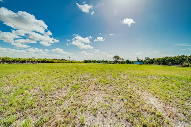 a view of an ocean and beach
