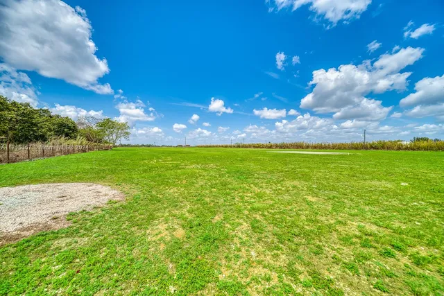 a view of a big yard with swimming pool and green space