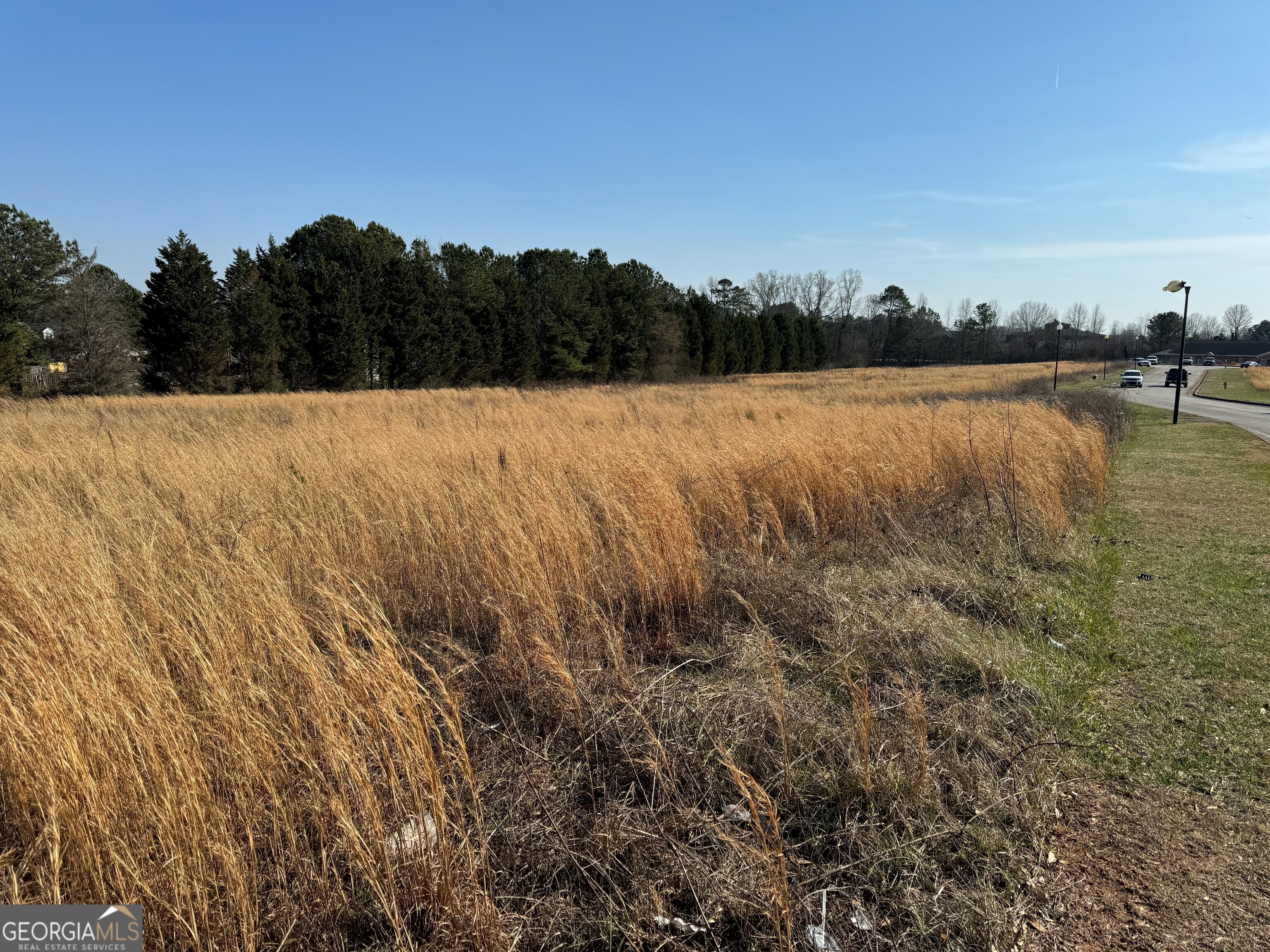 0 Bay View Drive Villa Rica, GA 30180 - Photo 3 of 7 Long Stretch of Land