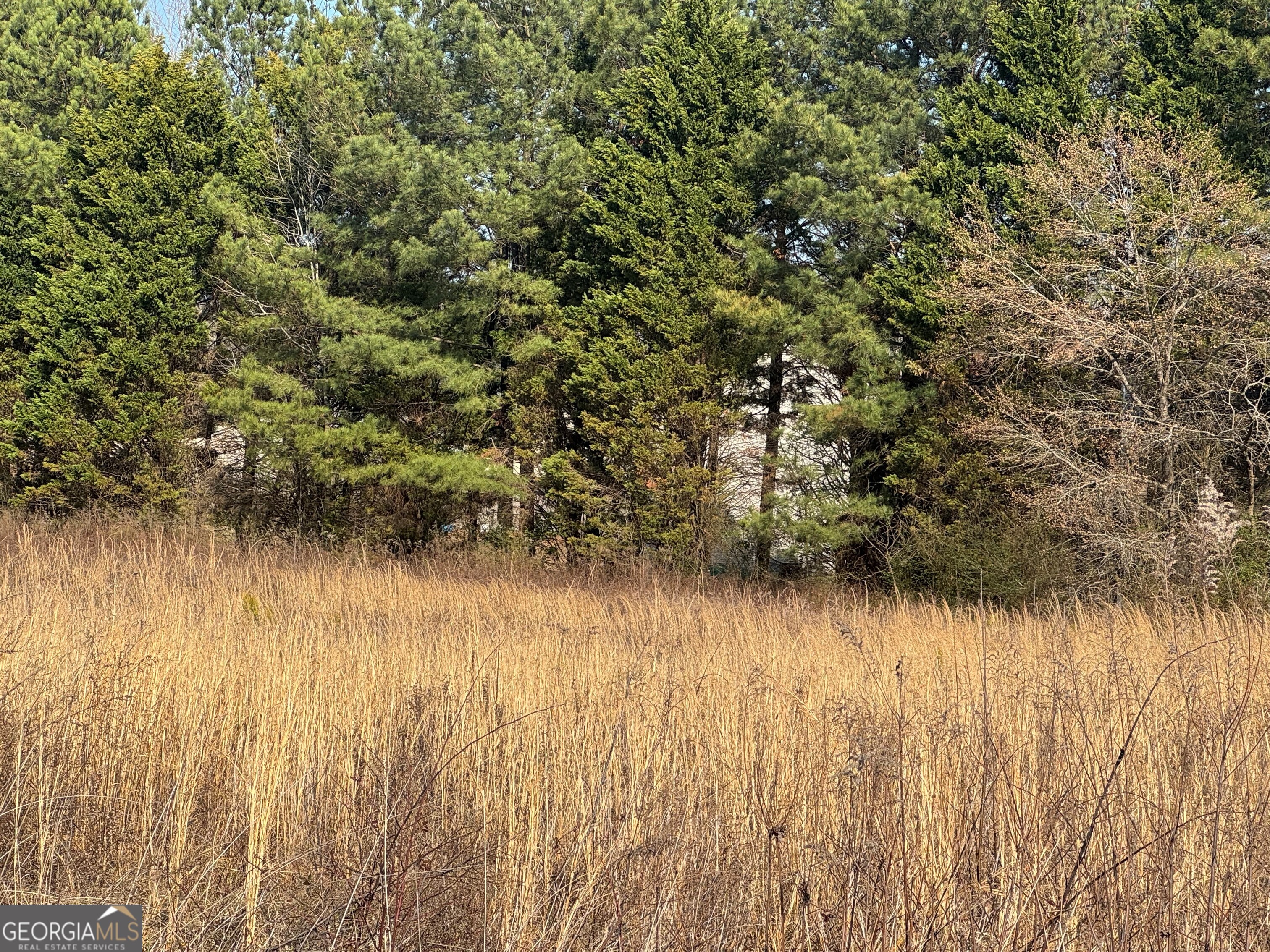 0 Bay View Drive Villa Rica, GA 30180 - Photo 5 of 7