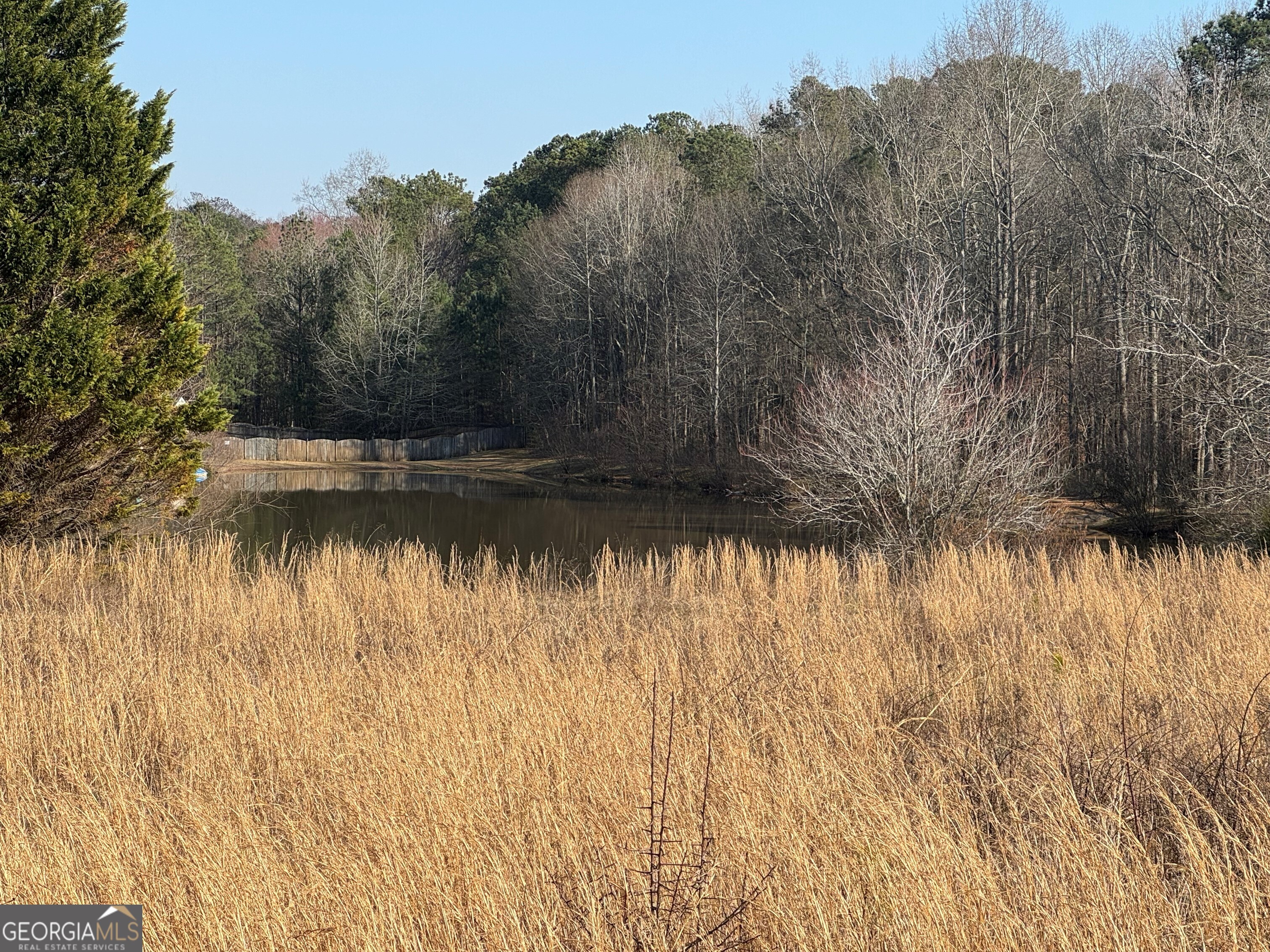 0 Bay View Drive Villa Rica, GA 30180 - Photo 6 of 7