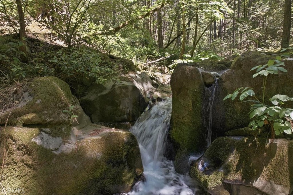 20929 Fall Crk Road Dunsmuir, CA 96025 - Photo 9 of 28