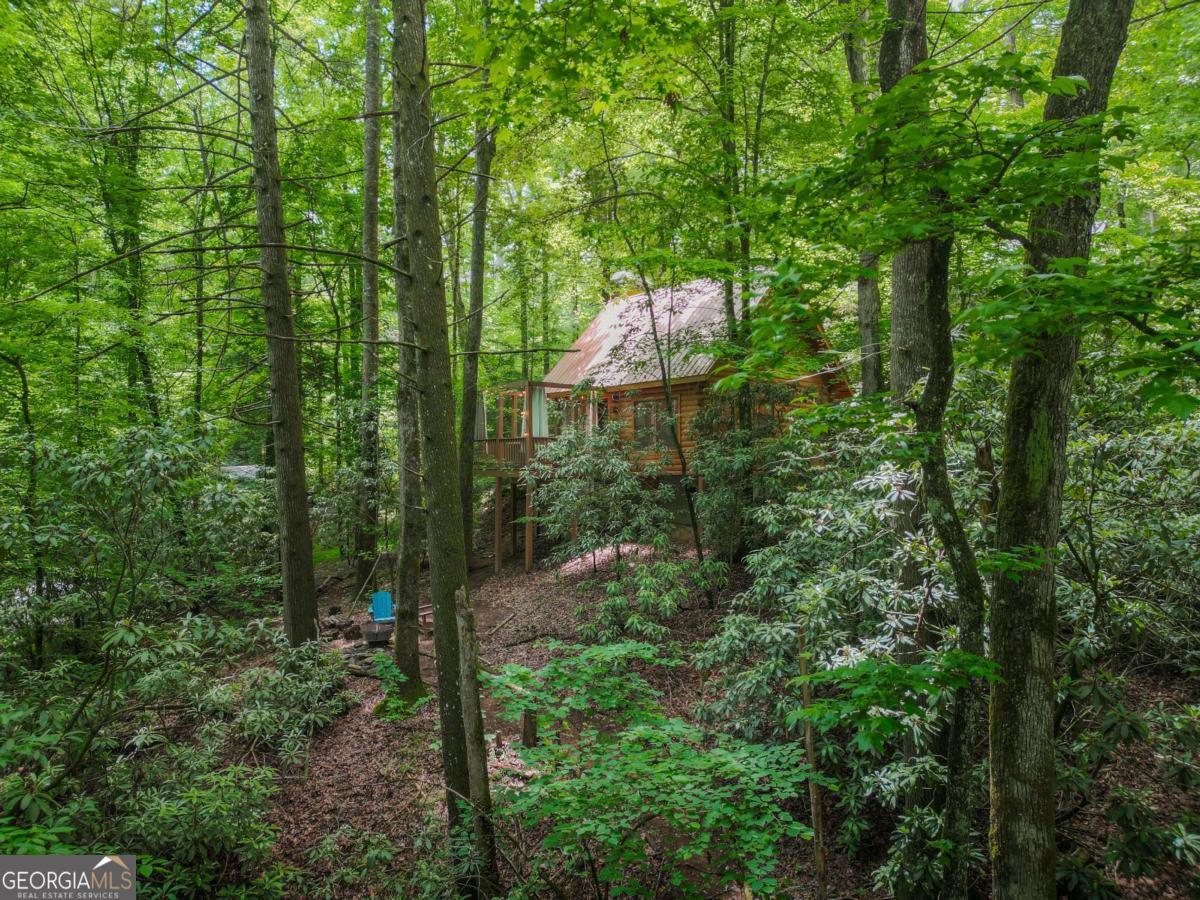 14 Finch Lane Blue Ridge, GA 30513 - Photo 19 of 24 Gallery Image 19