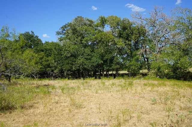 $109,200 | 1 Cr 236a Milano Tx 76556, Cameron, TX 76520
