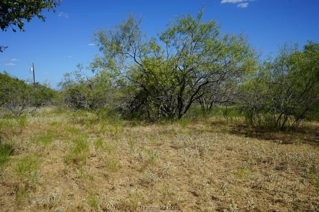 $109,200 | 1 Cr 236a Milano Tx 76556, Cameron, TX 76520