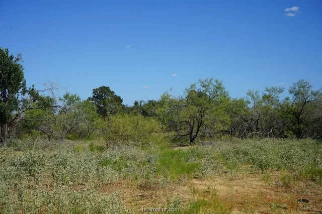 $109,200 | 1 Cr 236a Milano Tx 76556, Cameron, TX 76520