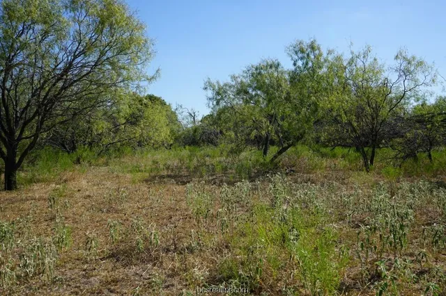 $109,200 | 1 Cr 236a Milano Tx 76556, Cameron, TX 76520