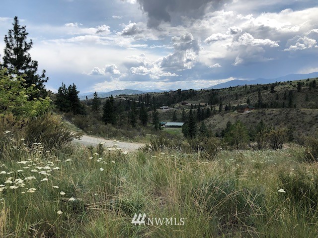 1478 Lodge Pole Road Chelan, WA 98816 - Photo 6 of 23