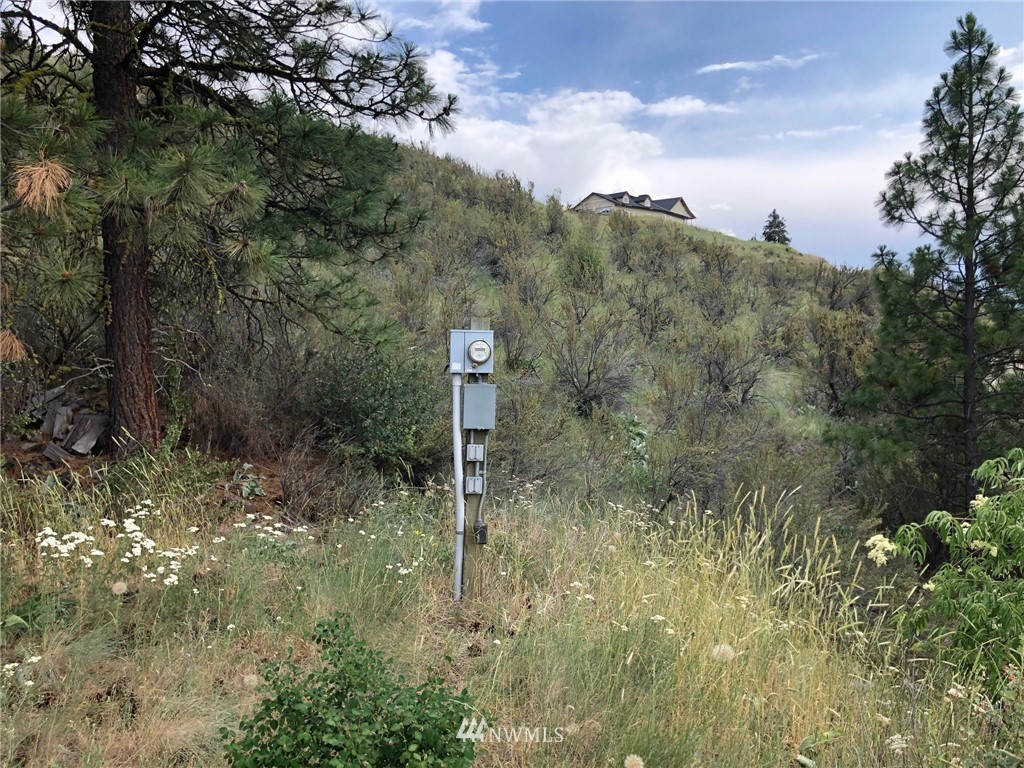 1478 Lodge Pole Road Chelan, WA 98816 - Photo 8 of 23