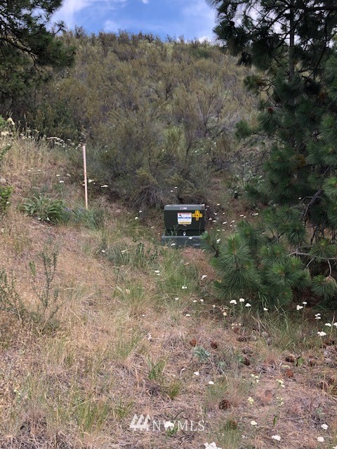 1478 Lodge Pole Road Chelan, WA 98816 - Photo 9 of 23