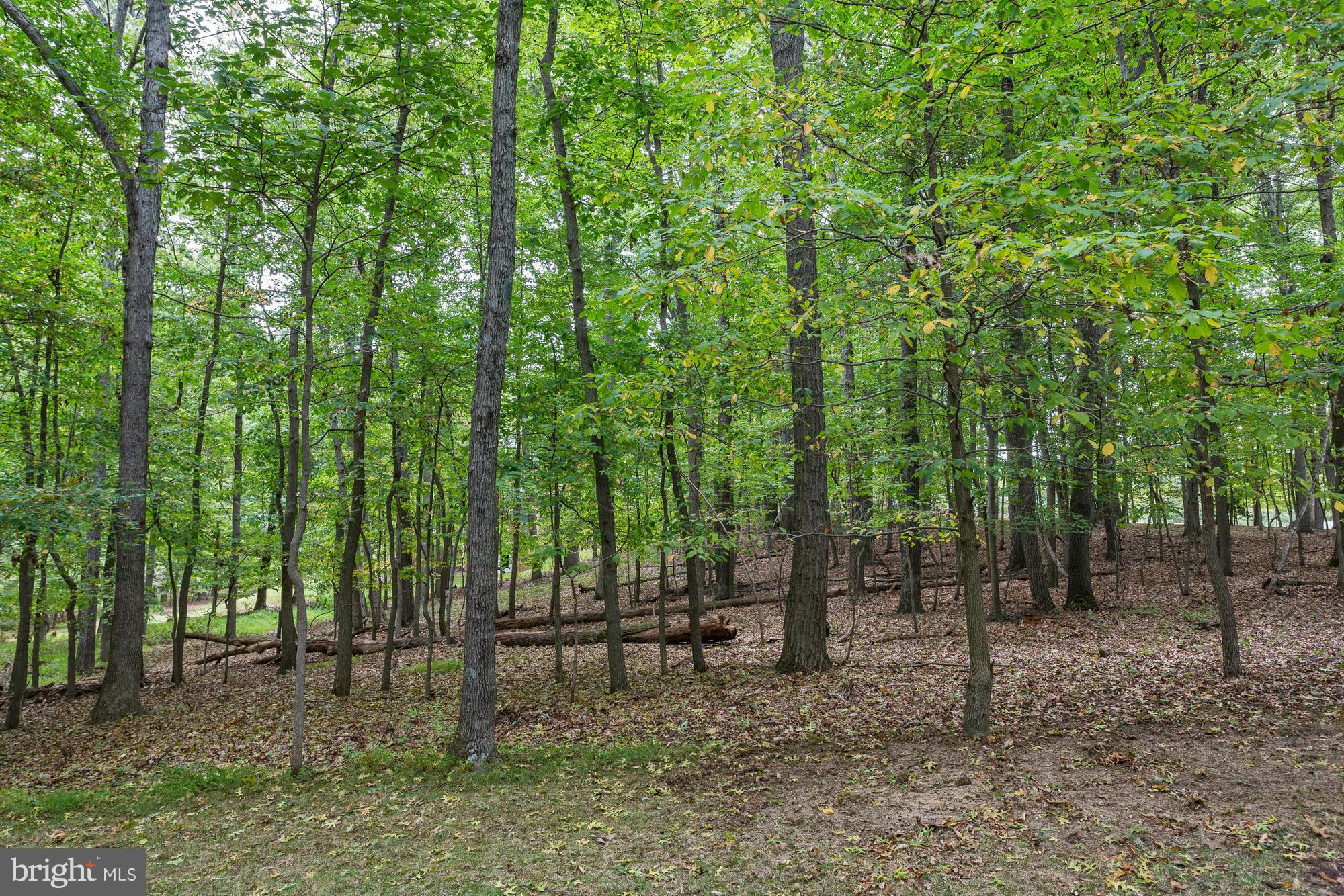 13654 Highland Road Clarksville, MD 21029 - Photo 27 of 30 View