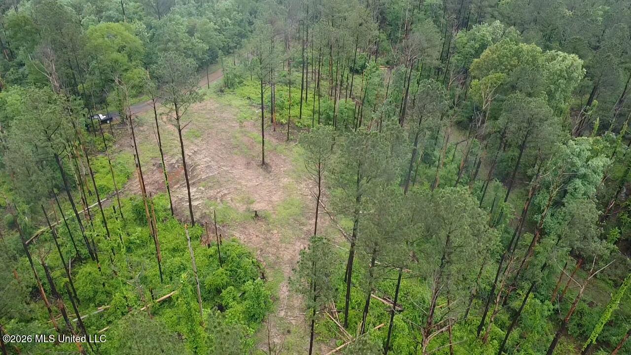 Ford Lane Crystal Springs, MS 39059 - Photo 6 of 15 2026-04-30-12-30-47-516