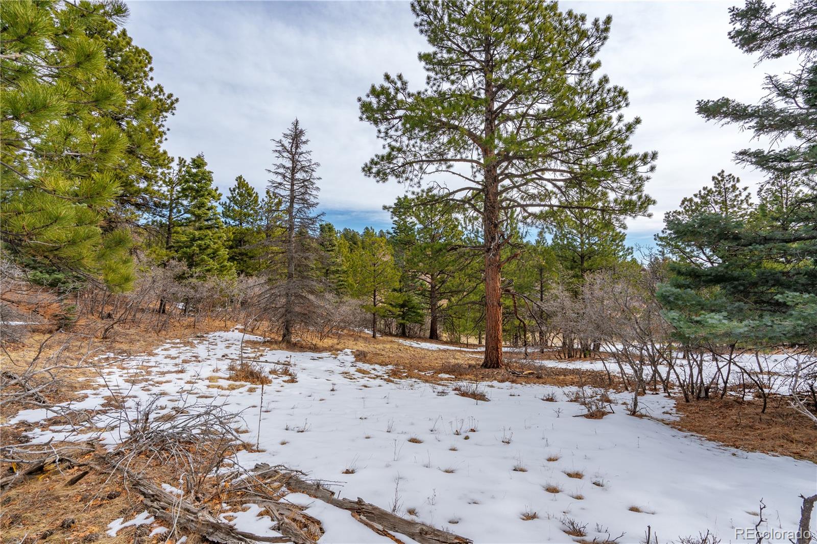 Lot 2 Spruce Mountain Road Cotopaxi, CO 81223 - Photo 13 of 27