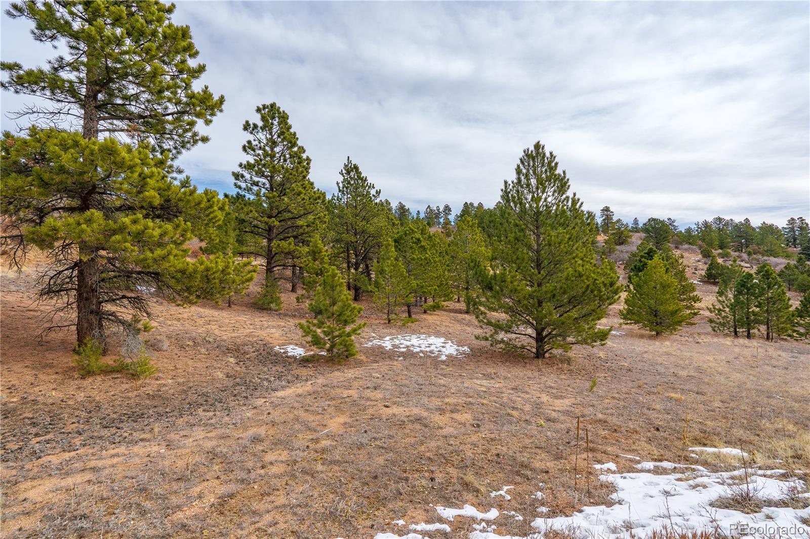 Lot 2 Spruce Mountain Road Cotopaxi, CO 81223 - Photo 5 of 27