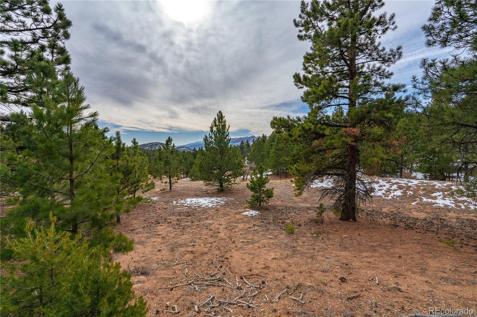 Lot 2 Spruce Mountain Road Cotopaxi, CO 81223 - Photo 6 of 27