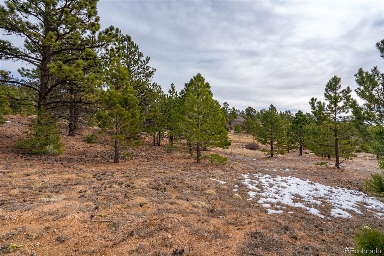 Lot 2 Spruce Mountain Road Cotopaxi, CO 81223 - Photo 7 of 27