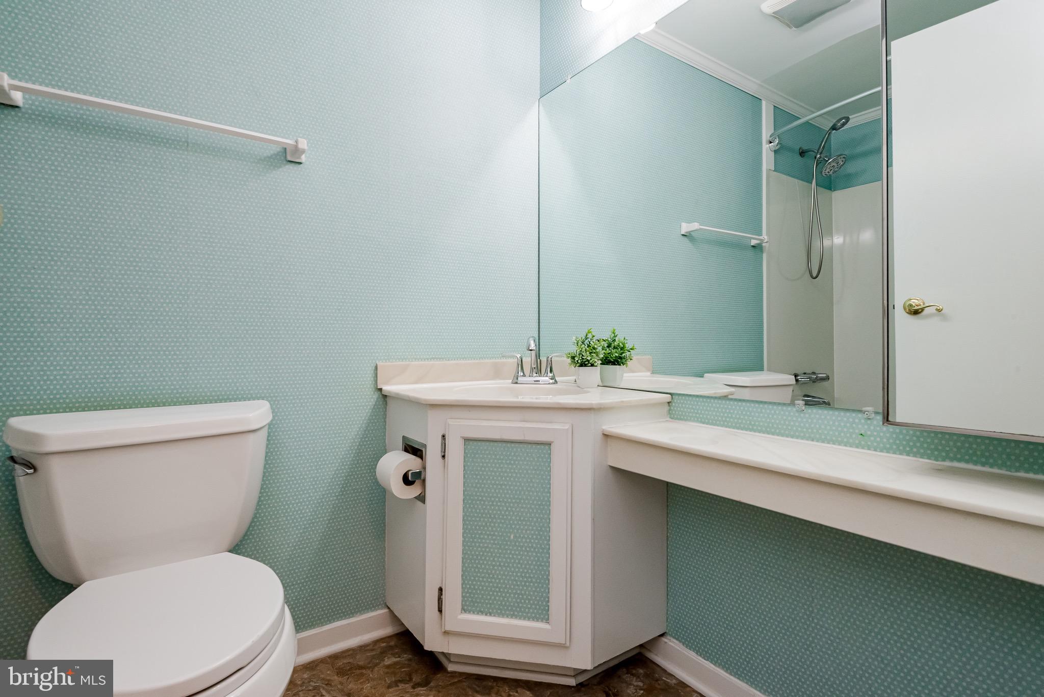 413 Golf Course Drive Arnold, MD 21012 - Photo 29 of 61 Upper Hall Full Bath