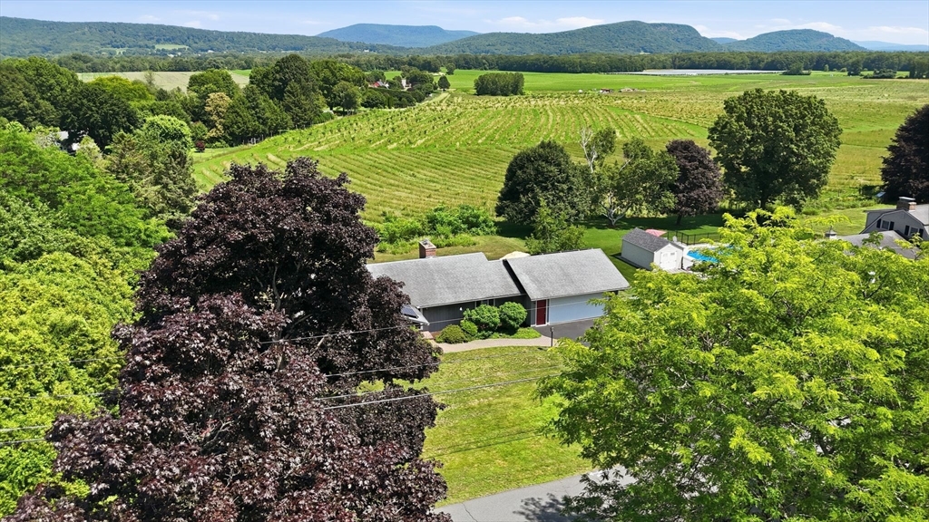 54 Sawmill Plain Road Deerfield, MA 01373 - Photo 36 of 42